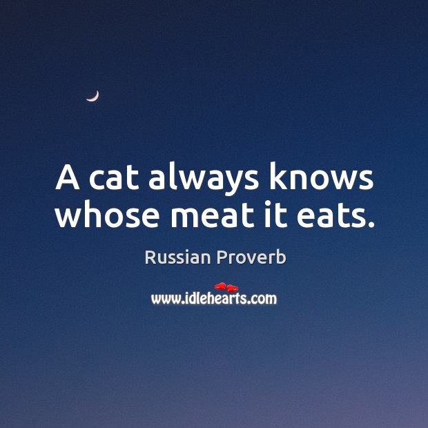 A cat always knows whose meat it eats. Image