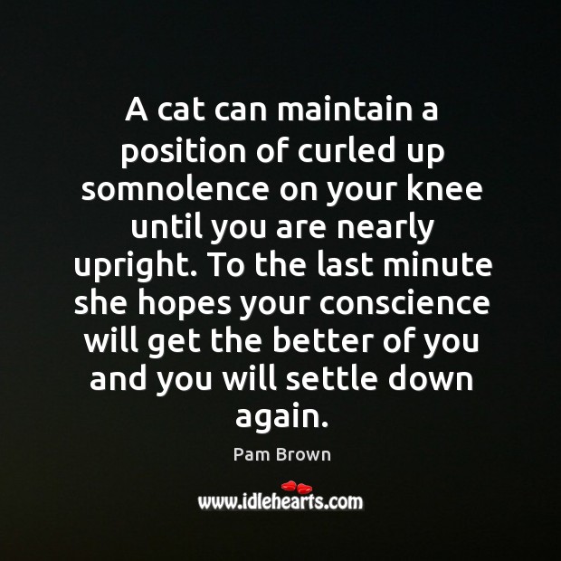 A cat can maintain a position of curled up somnolence on your knee until you are nearly upright. Image