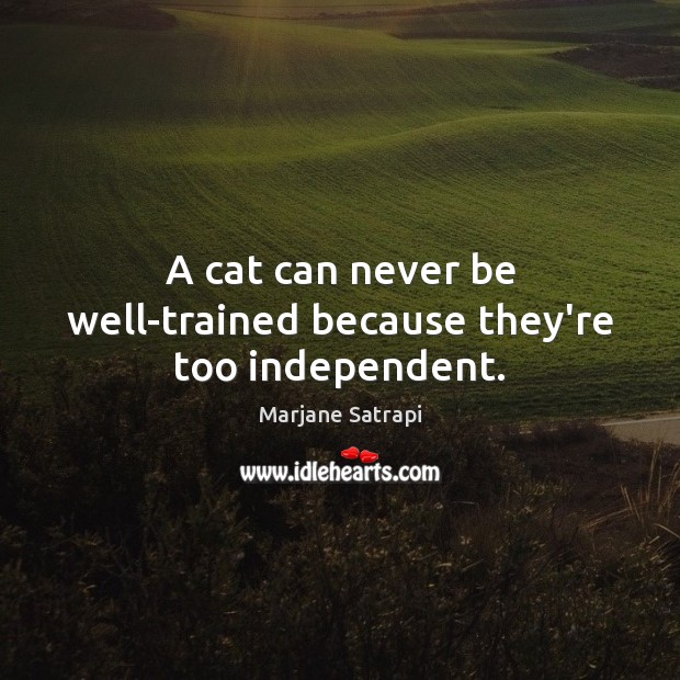 A cat can never be well-trained because they’re too independent. Marjane Satrapi Picture Quote