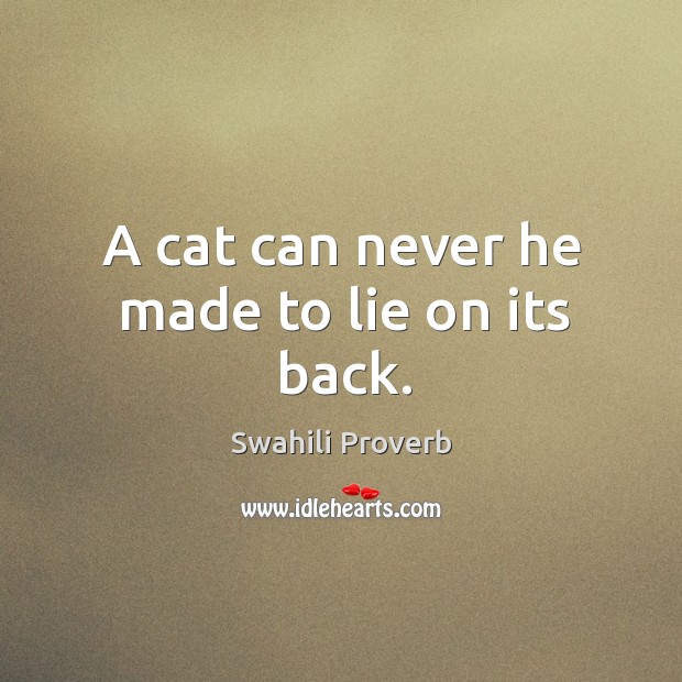 A cat can never he made to lie on its back. Image