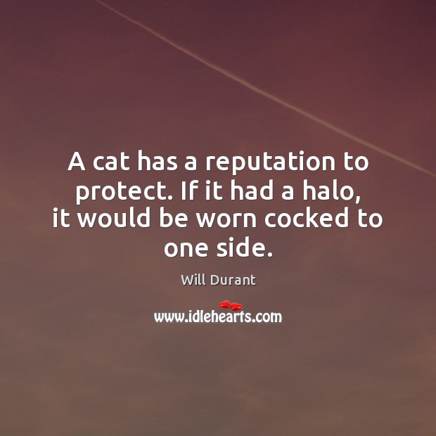 A cat has a reputation to protect. If it had a halo, it would be worn cocked to one side. Will Durant Picture Quote