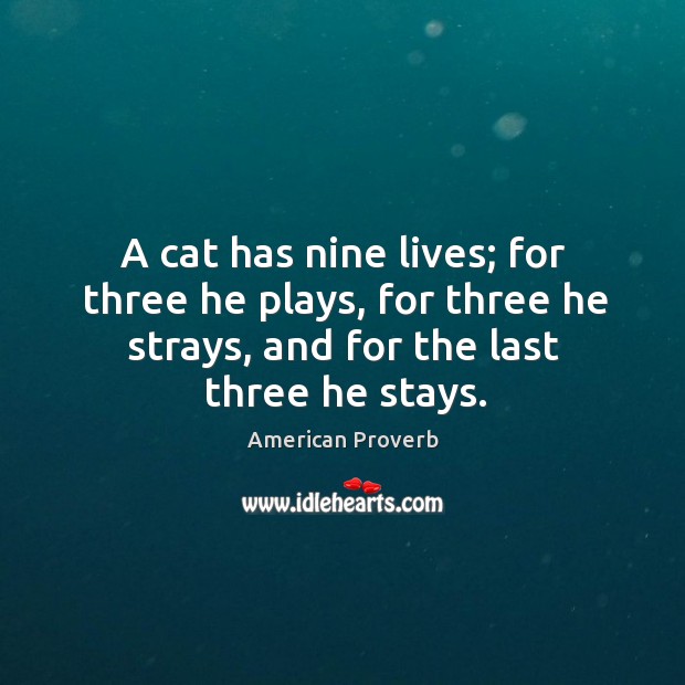 A cat has nine lives; for three he plays, for three he strays, and for the last three he stays. American Proverbs Image