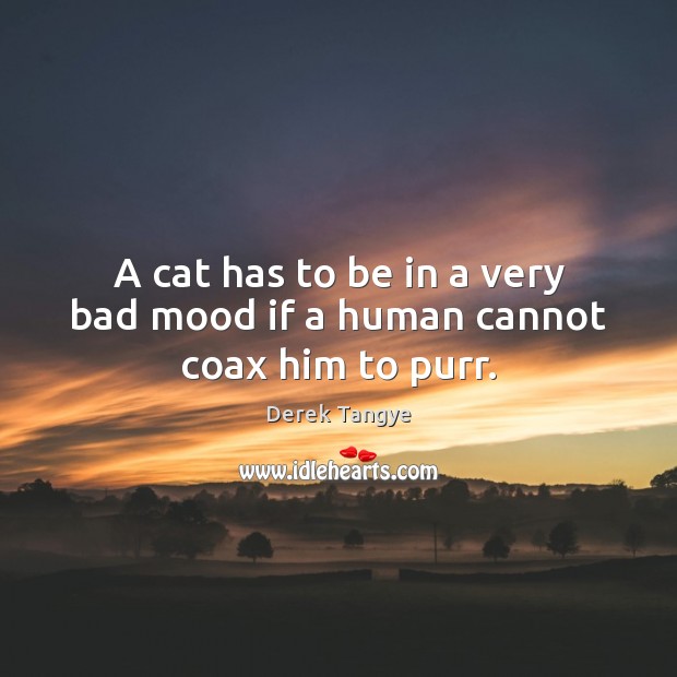 A cat has to be in a very bad mood if a human cannot coax him to purr. Derek Tangye Picture Quote