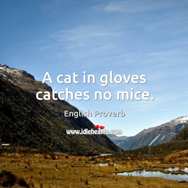A cat in gloves catches no mice. English Proverbs Image