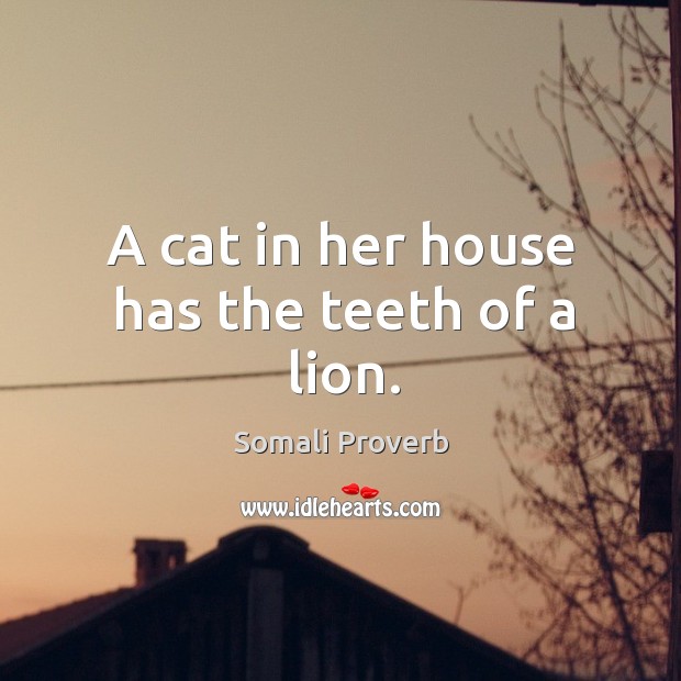 A cat in her house has the teeth of a lion. Somali Proverbs Image