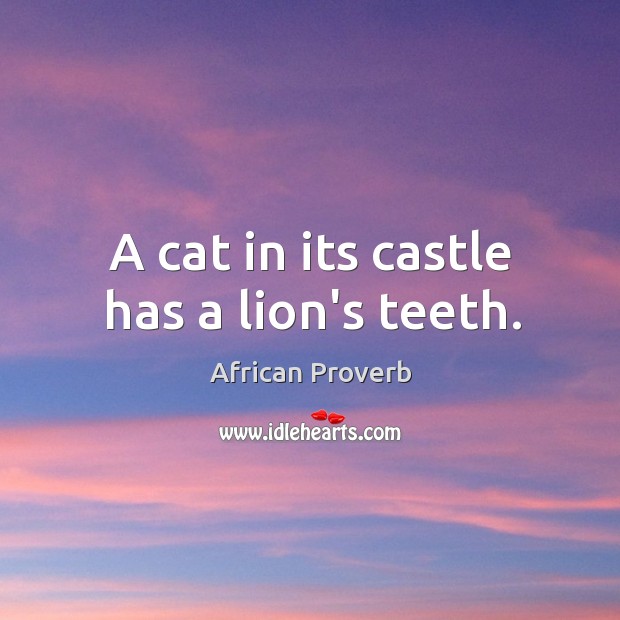 A cat in its castle has a lion’s teeth. Image