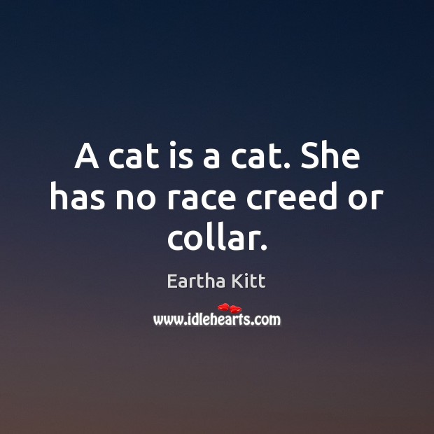 A cat is a cat. She has no race creed or collar. Eartha Kitt Picture Quote