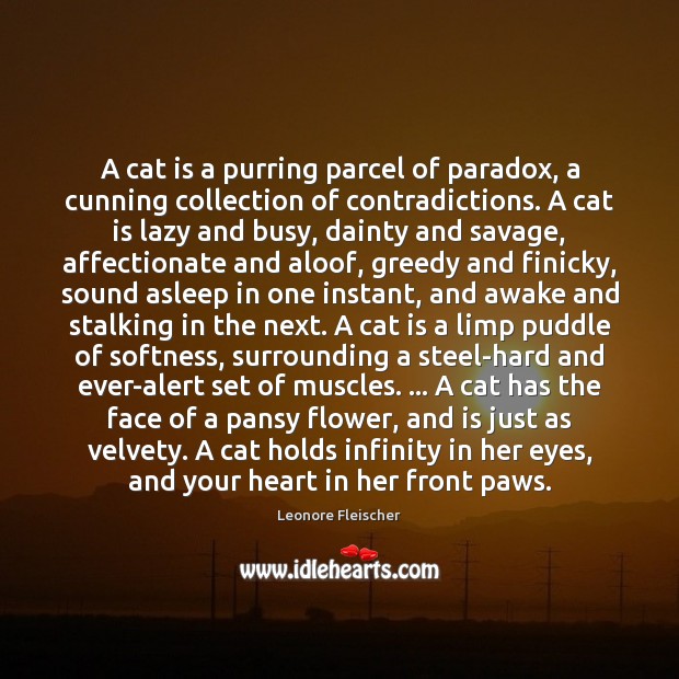 A cat is a purring parcel of paradox, a cunning collection of Leonore Fleischer Picture Quote