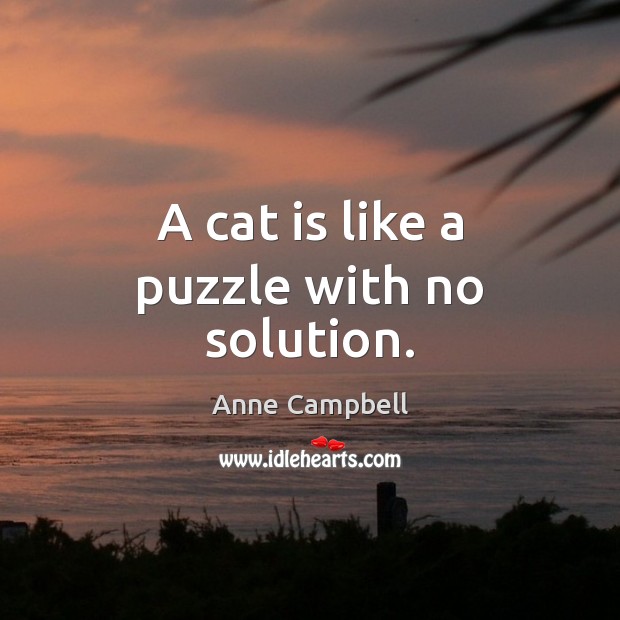 A cat is like a puzzle with no solution. Anne Campbell Picture Quote