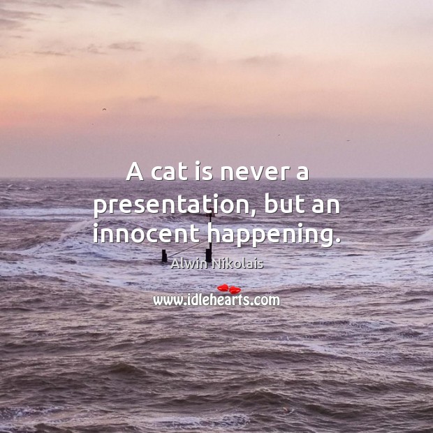 A cat is never a presentation, but an innocent happening. Image