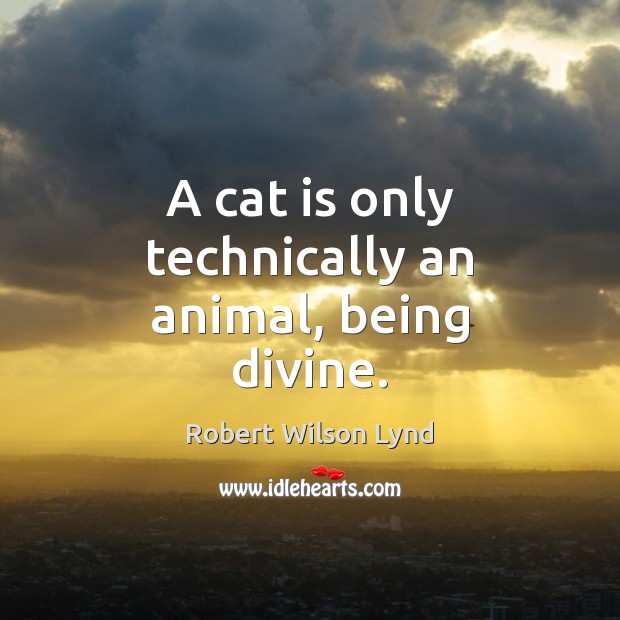 A cat is only technically an animal, being divine. Robert Wilson Lynd Picture Quote