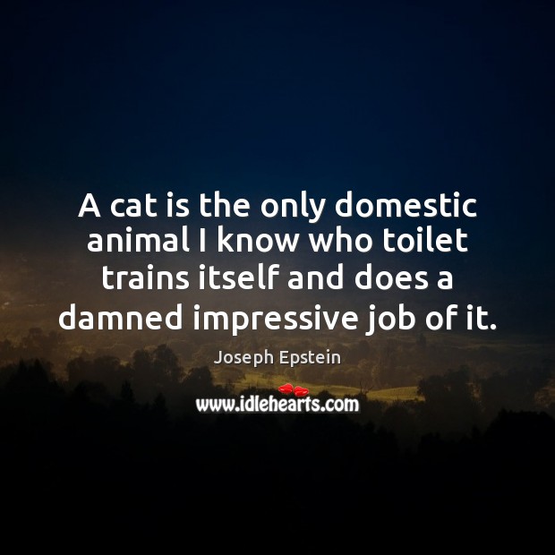 A cat is the only domestic animal I know who toilet trains Joseph Epstein Picture Quote