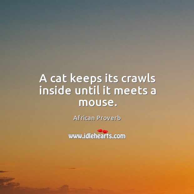 A cat keeps its crawls inside until it meets a mouse. African Proverbs Image