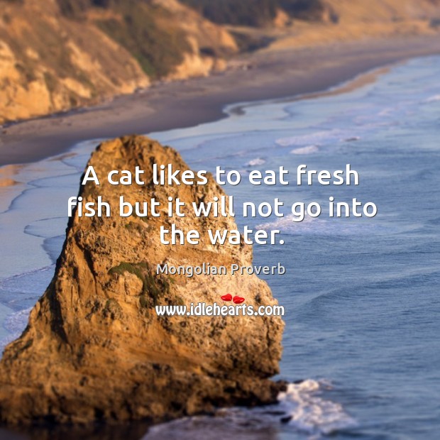 A cat likes to eat fresh fish but it will not go into the water. Mongolian Proverbs Image