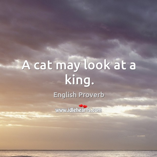 A cat may look at a king. English Proverbs Image