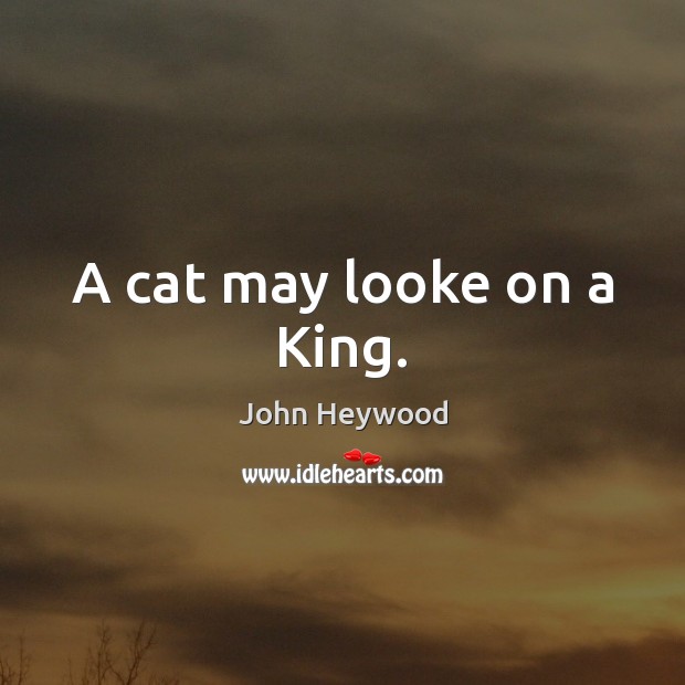 A cat may looke on a King. John Heywood Picture Quote
