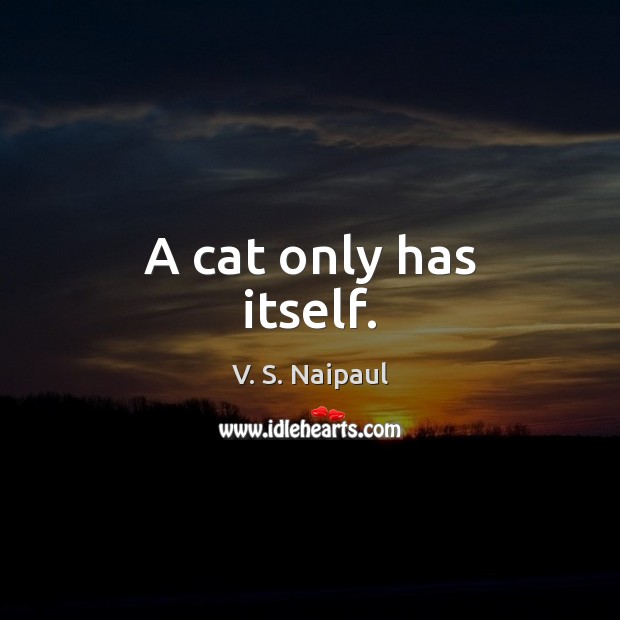A cat only has itself. V. S. Naipaul Picture Quote