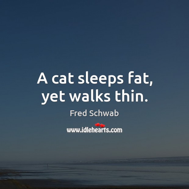 A cat sleeps fat, yet walks thin. Fred Schwab Picture Quote