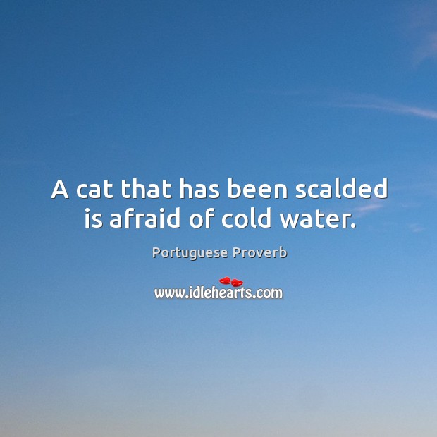 A cat that has been scalded is afraid of cold water. Portuguese Proverbs Image