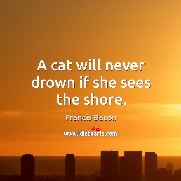 A cat will never drown if she sees the shore. Francis Bacon Picture Quote