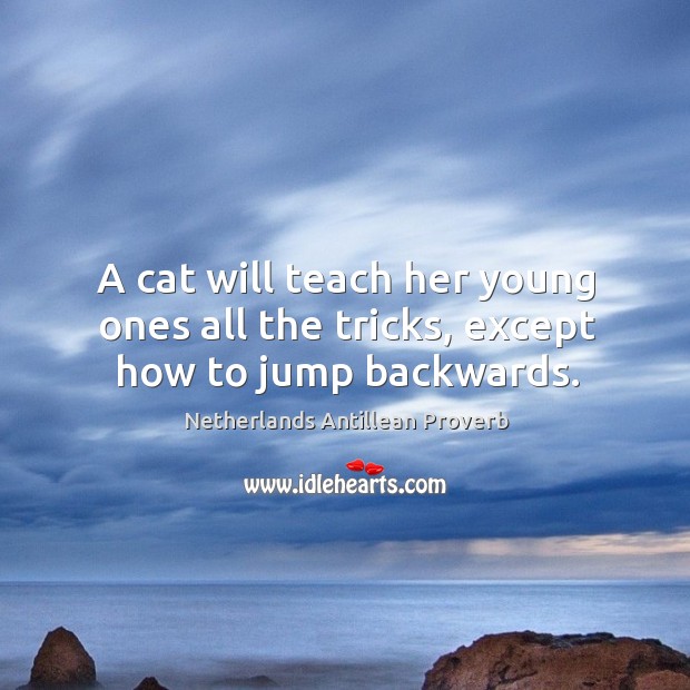 A cat will teach her young ones all the tricks, except how to jump backwards. Netherlands Antillean Proverbs Image