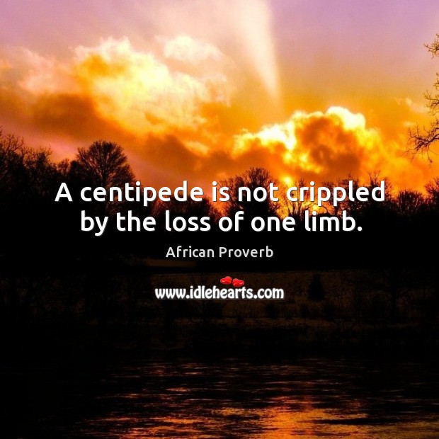 A centipede is not crippled by the loss of one limb. African Proverbs Image