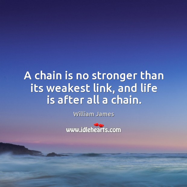A chain is no stronger than its weakest link, and life is after all a chain. William James Picture Quote