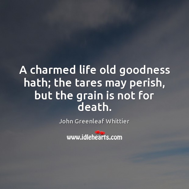 A charmed life old goodness hath; the tares may perish, but the grain is not for death. Image