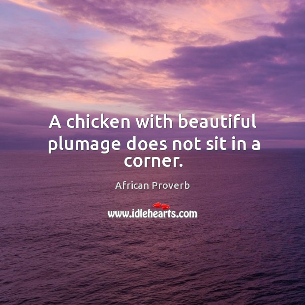 A chicken with beautiful plumage does not sit in a corner. Image