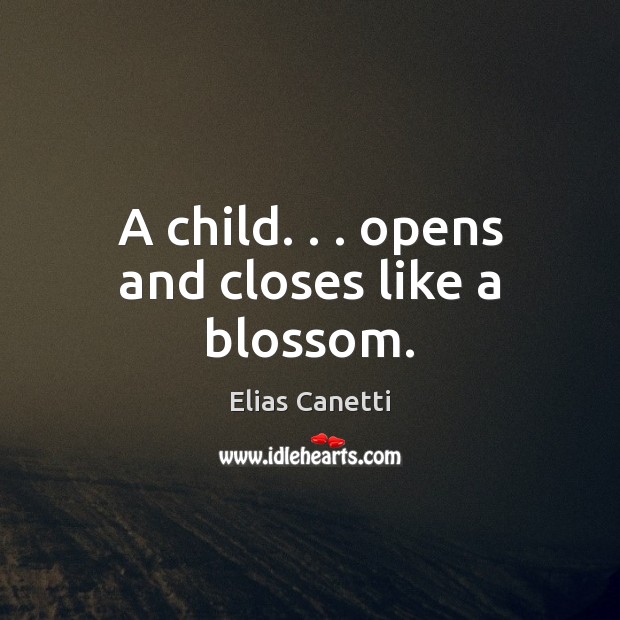 A child. . . opens and closes like a blossom. Elias Canetti Picture Quote