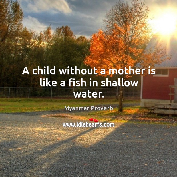 A child without a mother is like a fish in shallow water. Myanmar Proverbs Image