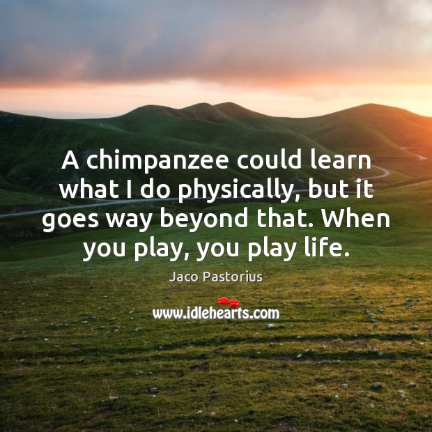 A chimpanzee could learn what I do physically, but it goes way Image