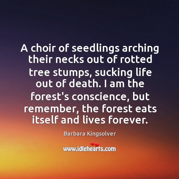 A choir of seedlings arching their necks out of rotted tree stumps, Barbara Kingsolver Picture Quote