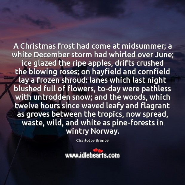 A Christmas frost had come at midsummer; a white December storm had Charlotte Bronte Picture Quote