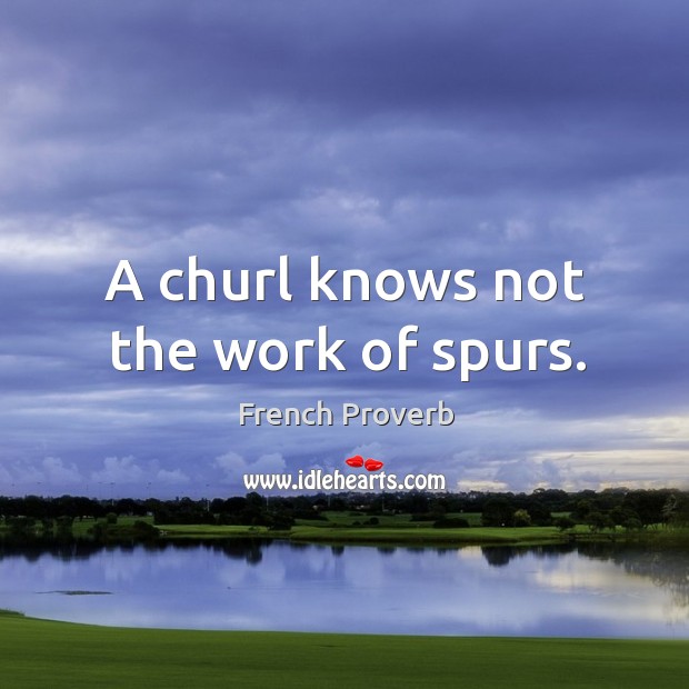 A churl knows not the work of spurs. Image