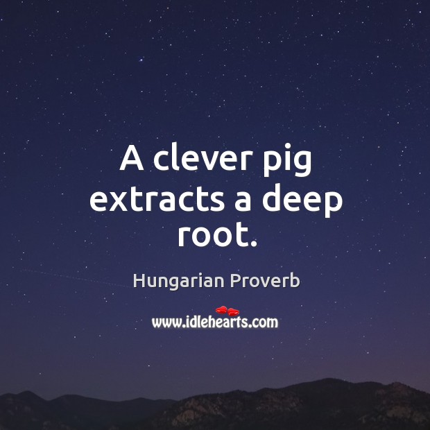 A clever pig extracts a deep root. Hungarian Proverbs Image