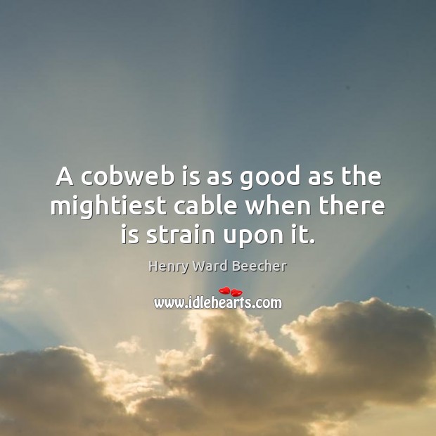 A cobweb is as good as the mightiest cable when there is strain upon it. Image