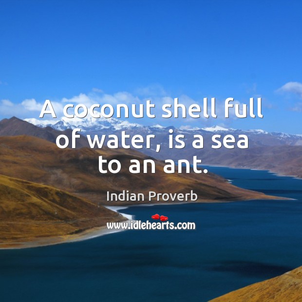 A coconut shell full of water, is a sea to an ant. Indian Proverbs Image