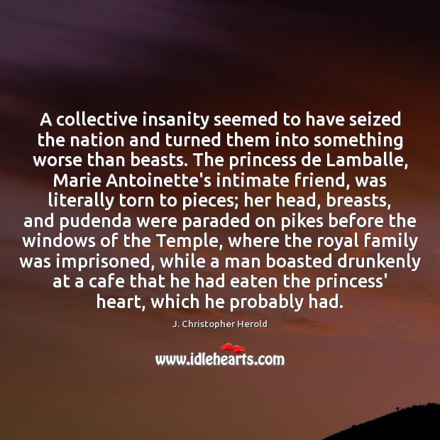 A collective insanity seemed to have seized the nation and turned them J. Christopher Herold Picture Quote