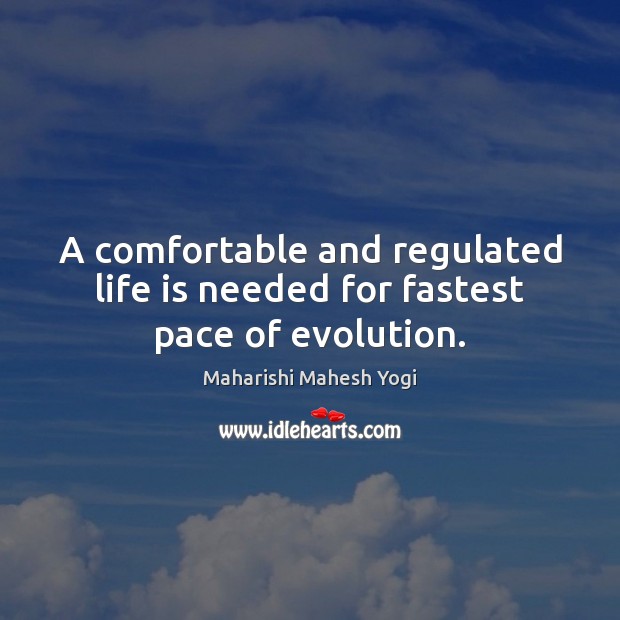 A comfortable and regulated life is needed for fastest pace of evolution. Maharishi Mahesh Yogi Picture Quote