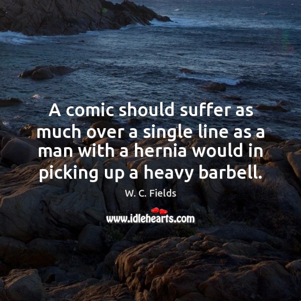A comic should suffer as much over a single line as a W. C. Fields Picture Quote