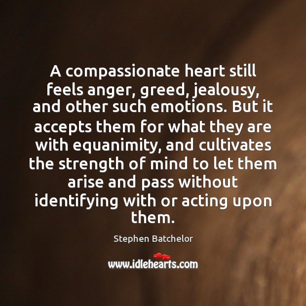 A compassionate heart still feels anger, greed, jealousy, and other such emotions. Stephen Batchelor Picture Quote