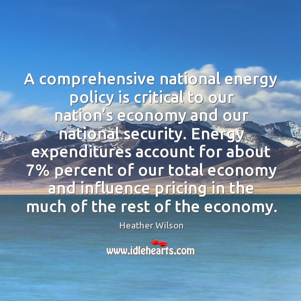 A comprehensive national energy policy is critical to our nation’s economy and our national security. Heather Wilson Picture Quote