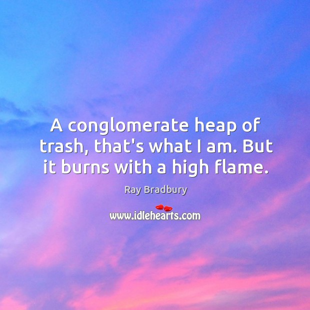 A conglomerate heap of trash, that’s what I am. But it burns with a high flame. Image