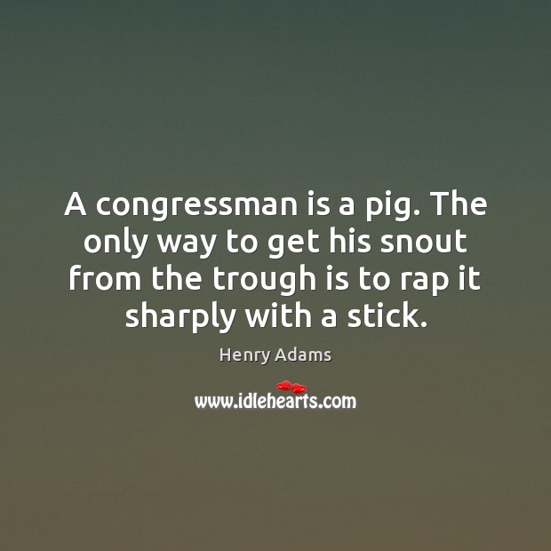 A congressman is a pig. The only way to get his snout Henry Adams Picture Quote