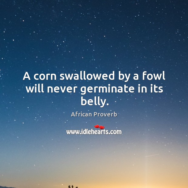 A corn swallowed by a fowl will never germinate in its belly. Image