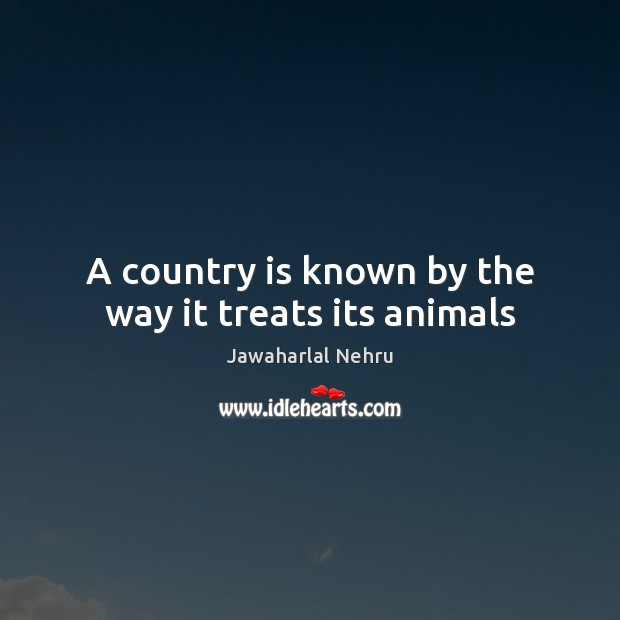A country is known by the way it treats its animals Image
