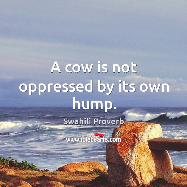A cow is not oppressed by its own hump. Swahili Proverbs Image