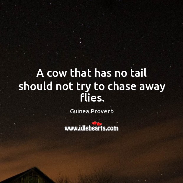 A cow that has no tail should not try to chase away flies. Guinea Proverbs Image