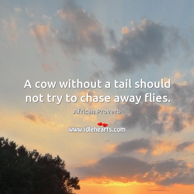 A cow without a tail should not try to chase away flies. Image